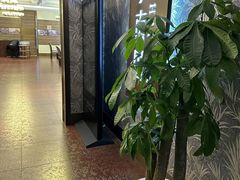 -上海小南国(金桥国际广场店)