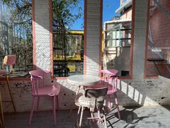 -喵屿·大理花园猫咖