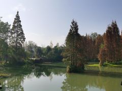 -桤木河湿地公园