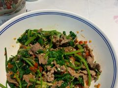 -壹盏灯(惠农店)