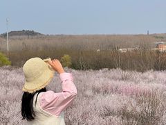 -明秦王墓遗址