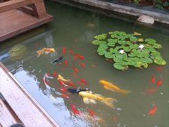-陕西汤峪会议中心温泉酒店