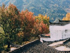 -篁岭景区