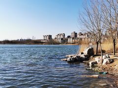 -马家湾湿地公园