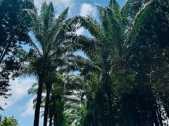-珠海梦幻水城