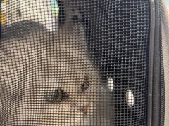 -艾贝尔宠物医院 ·中兽医·宠保定点(北门桥店)