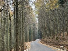 -山王坪喀斯特国家生态公园