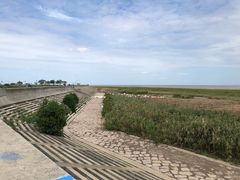 -南汇嘴观海公园