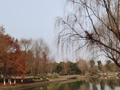 -九科绿洲