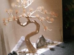 -上鸿汤泉•易营+