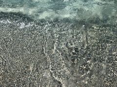 -齐河孔雀王温泉酒店·金孔雀自助百汇