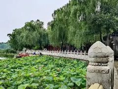 -西海子公园