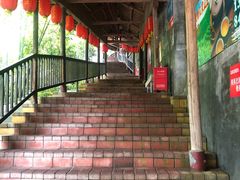 -鲤鱼塘农家山庄