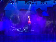 -芜湖新华联大白鲸海洋公园