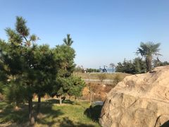 -青岛海泉湾度假区温泉
