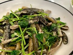 白炒鳝丝-小实惠嘉(威海路店)