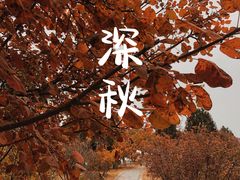 -北京西山国家森林公园