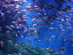 -成都浩海立方海洋公园