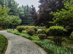 -洛阳市隋唐城遗址植物园