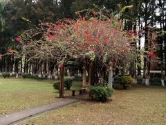 -广东外语外贸大学(白云山校区)