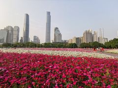 -海心沙亚运公园