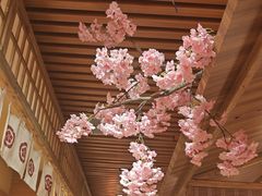 -福樱兰海鲜放题铁板烧(加州店)