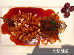 -松鹤楼·非遗·苏帮菜(融科店)