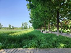 -汉长安城未央宫国家考古遗址公园