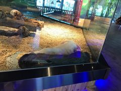 -昆明大悦城未来动物城(螺蛳湾中心店)
