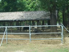 -秦皇岛野生动物园