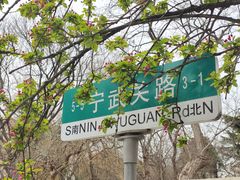 -八大关景区