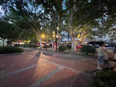 -徐家汇源景区-衡山公园