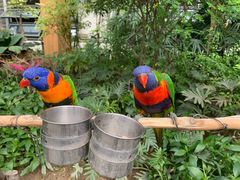 -南宫五洲植物乐园