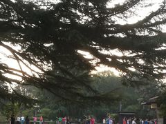 -西安市长乐公园