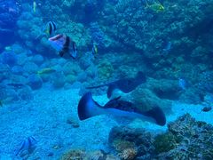 -海合安青岛极地海洋公园