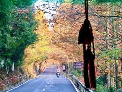 -鹿院坪生态旅游景区