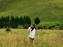 -乌兰布统景区-白桦林