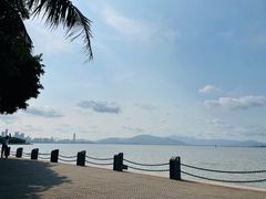 -深圳湾公园(南山区)