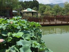 -杭州六谷生态休闲农庄有限公司