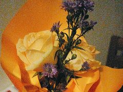 -怡花宜木鲜花店(朝阳路店)