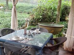 -野蔓果·山野菜(西湖景区·龙井茶田店)