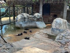 -昆明动物园