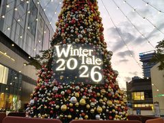 -东莞松山湖万象汇