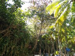 -海南分界洲岛旅游区