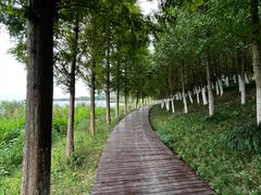 -阳澄湖费尔蒙酒店