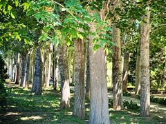 -首都师范大学(良乡校区)