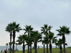 -咸德海水浴场