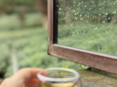 -野蔓果·山野菜(西湖景区·龙井茶田店)