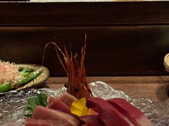 -三川·十酒Izakaya(南昌路店)