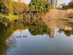 -荔湾湖公园